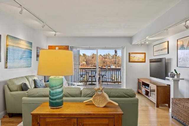 living room featuring rail lighting and light hardwood / wood-style flooring