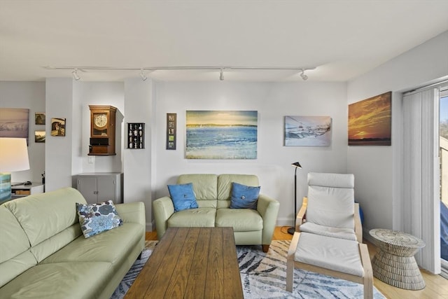 living room with rail lighting and light hardwood / wood-style flooring