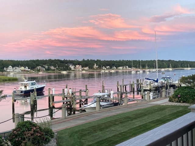 dock area with a water view