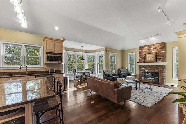 living room with sink, rail lighting, dark hardwood / wood-style flooring, and a fireplace