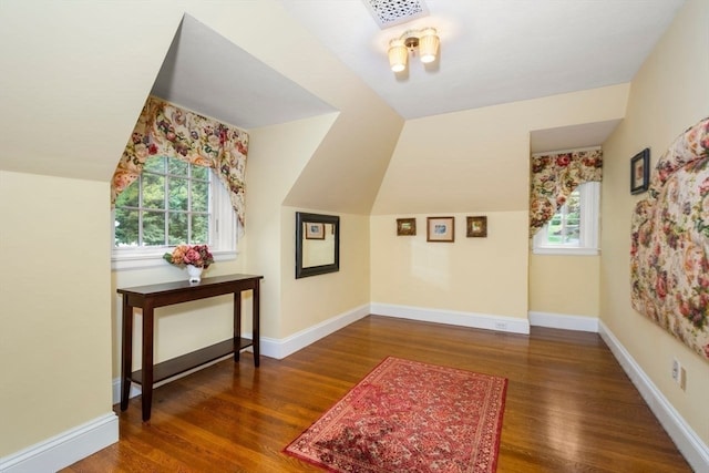 additional living space featuring lofted ceiling, a healthy amount of sunlight, and dark hardwood / wood-style flooring