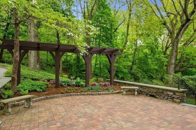 view of property's community with a patio area and a pergola