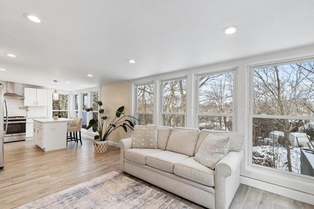 living room with light hardwood / wood-style flooring