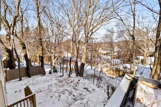 view of yard covered in snow