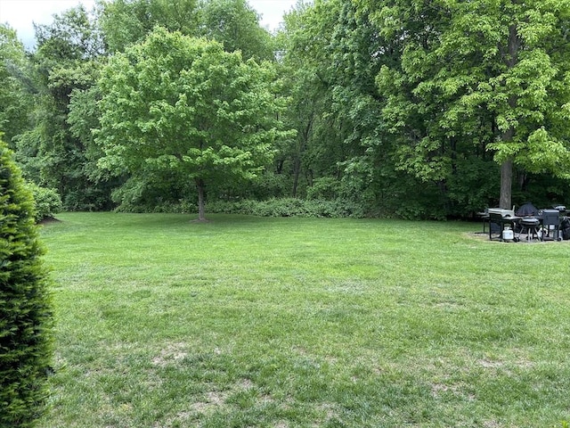188 Swanson Rd Unit 331, Boxborough, MA 01719 - view of grassy yard with a view of trees