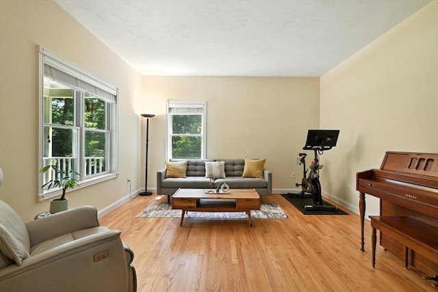 19 Hawthorn Rd, Amherst, MA 01002 - living area with light wood-style floors and baseboards
