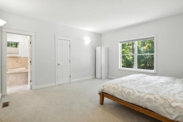 19 Hawthorn Rd, Amherst, MA 01002 - bedroom featuring multiple windows, carpet flooring, and connected bathroom