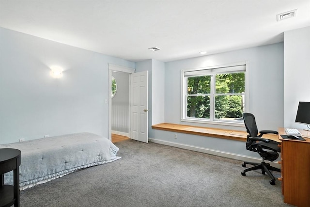 19 Hawthorn Rd, Amherst, MA 01002 - carpeted bedroom with a desk and baseboards