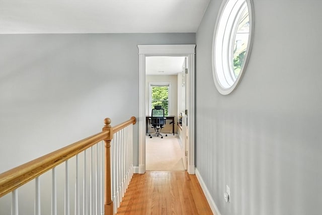 19 Hawthorn Rd, Amherst, MA 01002 - corridor with light wood-style flooring and baseboards
