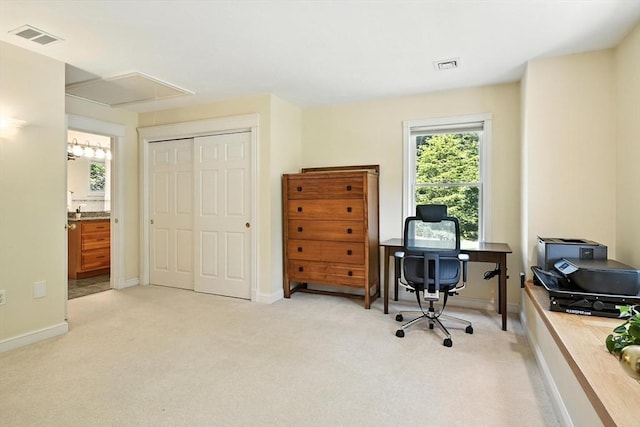 19 Hawthorn Rd, Amherst, MA 01002 - office area featuring attic access and light colored carpet
