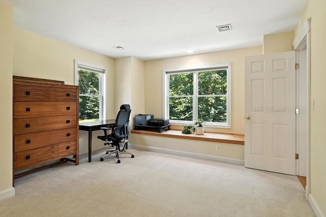 19 Hawthorn Rd, Amherst, MA 01002 - office featuring light carpet and baseboards