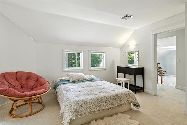 19 Hawthorn Rd, Amherst, MA 01002 - bedroom with lofted ceiling and light colored carpet