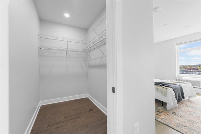 walk in closet with wood finished floors