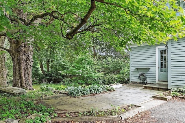 14 Upland Rd, Andover, MA 01810 - view of patio