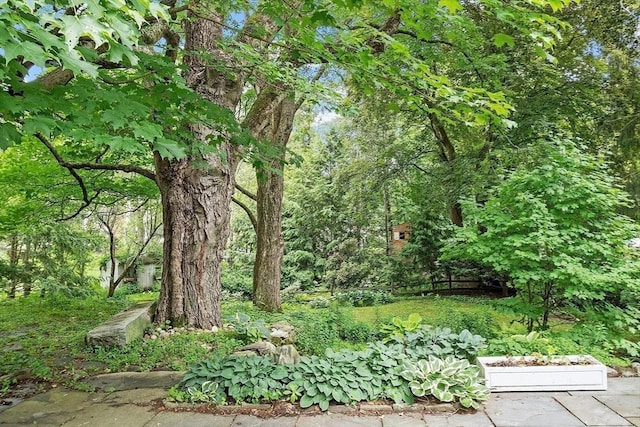 14 Upland Rd, Andover, MA 01810 - view of yard