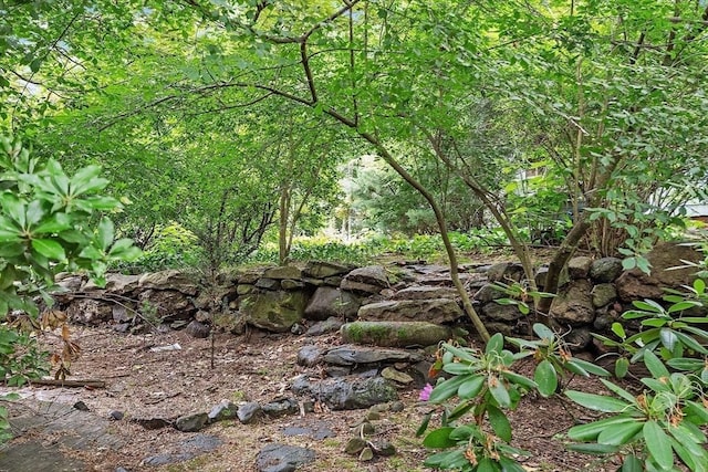 14 Upland Rd, Andover, MA 01810 - view of nature