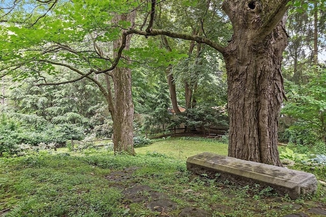 14 Upland Rd, Andover, MA 01810 - view of yard with a wooded view