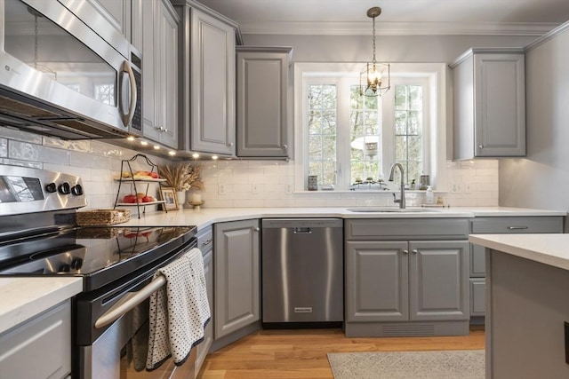 kitchen with sink, crown molding, light hardwood / wood-style flooring, gray cabinetry, and stainless steel appliances