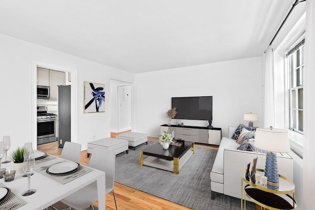 living area with light wood-style flooring