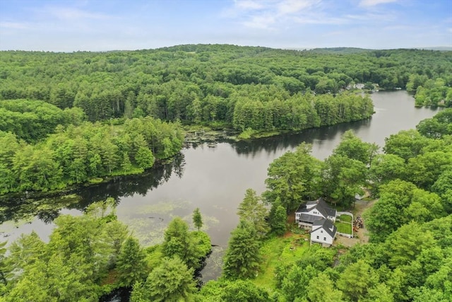 3 Cranberry Meadow Shore Rd, Charlton, MA 01507 - aerial view of a forest and a large body of water
