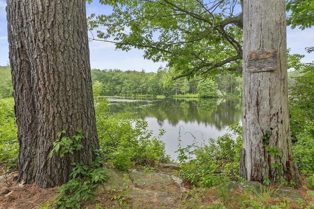 3 Cranberry Meadow Shore Rd, Charlton, MA 01507 - water view with a heavily wooded area