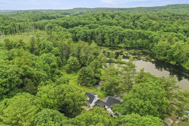 3 Cranberry Meadow Shore Rd, Charlton, MA 01507 - aerial view of property's location featuring a forest and a nearby body of water