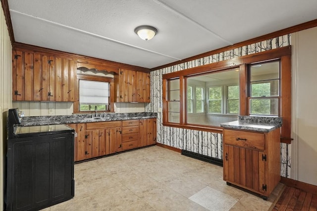 3 Cranberry Meadow Shore Rd, Charlton, MA 01507 - kitchen with black range with electric cooktop, dark countertops, and brown cabinetry