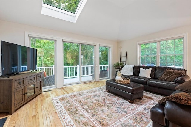 74 Hidden Bay Dr Unit 74, Dartmouth, MA 02748 - living area featuring plenty of natural light, light wood finished floors, a skylight, and high vaulted ceiling