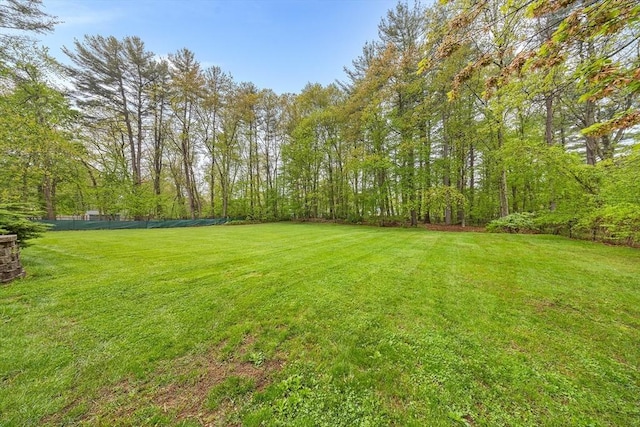 89 Gray St, North Andover, MA 01845 - view of green lawn