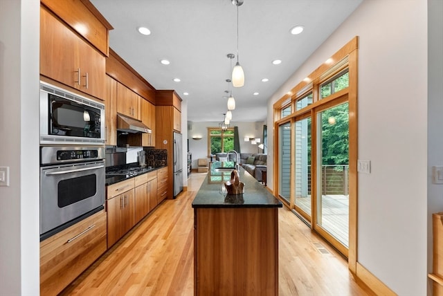 kitchen featuring decorative light fixtures, appliances with stainless steel finishes, light hardwood / wood-style floors, and a kitchen island