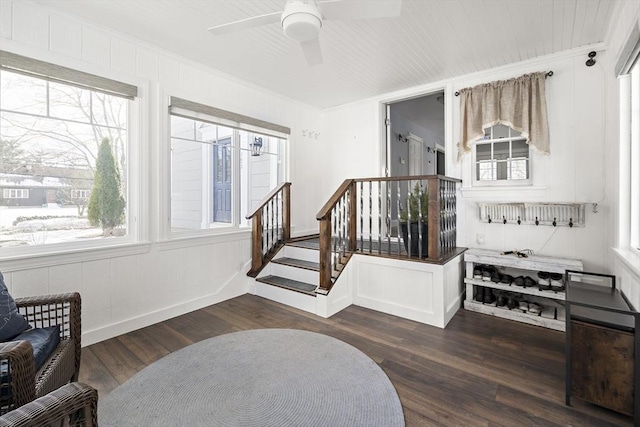 interior space featuring dark wood-type flooring, crown molding, stairway, and a ceiling fan