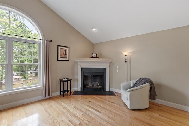 65 Saint Anthony St, Fitchburg, MA 01420 - living area featuring light wood-style floors, plenty of natural light, a glass covered fireplace, baseboards, and vaulted ceiling