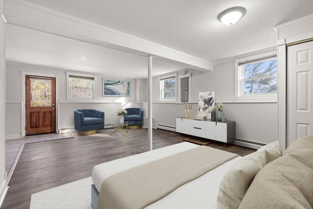 bedroom featuring dark wood-type flooring, a baseboard radiator, a closet, and multiple windows