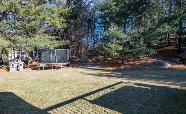 view of yard with a trampoline and a shed