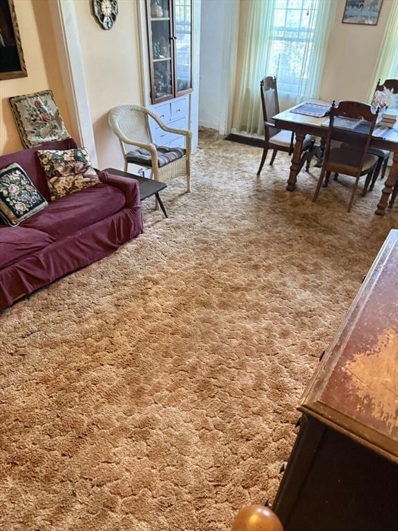 living area featuring carpet floors