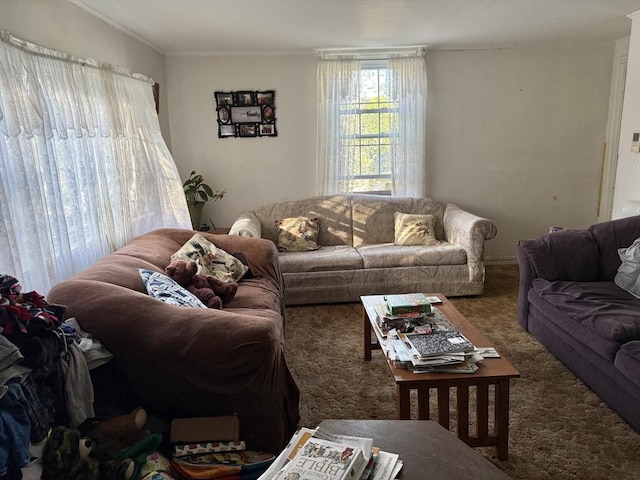 carpeted living room with ornamental molding