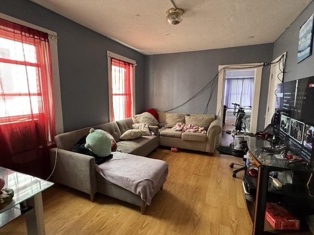 40 Freeman St, Framingham, MA 01702 - living area featuring light wood-style floors and plenty of natural light