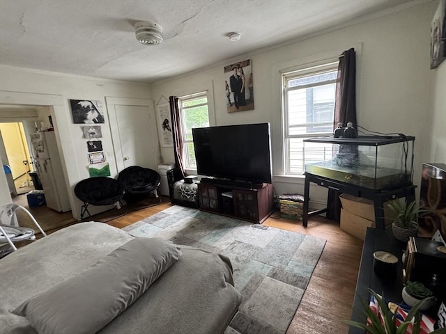 40 Freeman St, Framingham, MA 01702 - living room featuring wood finished floors and crown molding