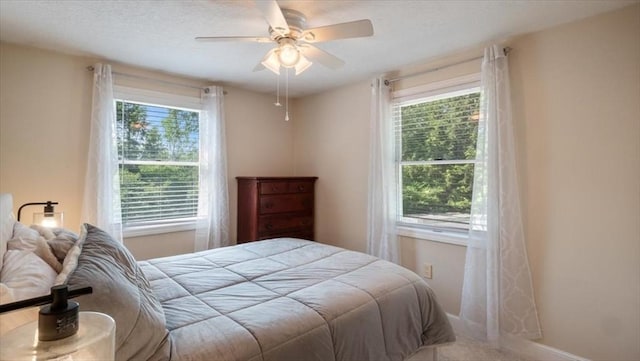 28 Philmart Dr, New Ipswich, NH 03071 - carpeted bedroom featuring multiple windows and a ceiling fan