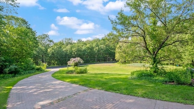 28 Philmart Dr, New Ipswich, NH 03071 - view of community featuring a lawn and a forest view