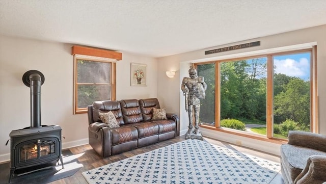28 Philmart Dr, New Ipswich, NH 03071 - living area featuring wood finished floors and a wood stove