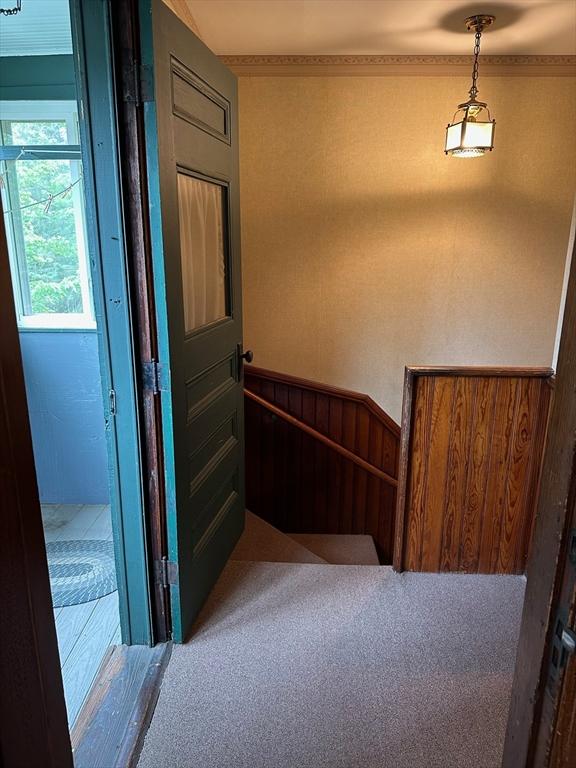 41 Mayland St, Fitchburg, MA 01420 - staircase featuring carpet floors