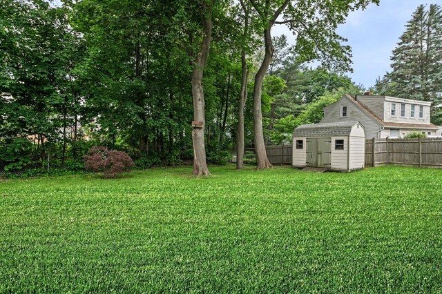 7 Beaver St, Beverly, MA 01915 - view of yard featuring a storage unit and view of scattered trees