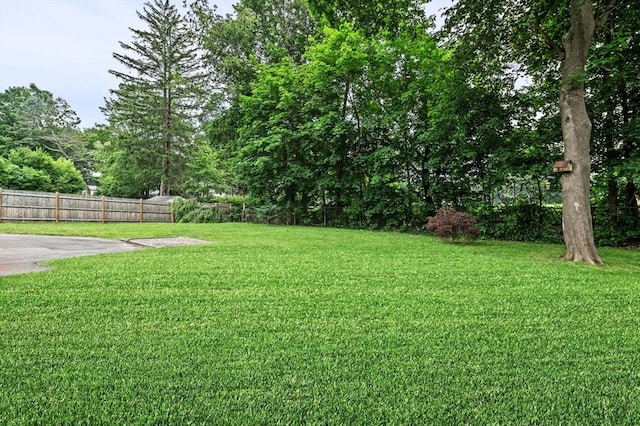 7 Beaver St, Beverly, MA 01915 - view of yard