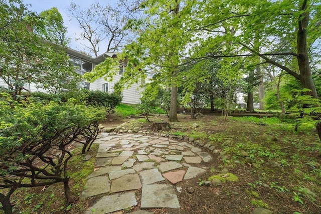 view of yard with a patio area