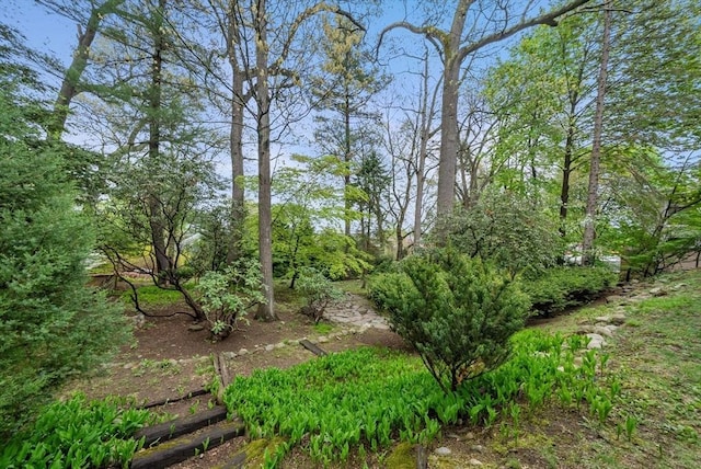 view of nature