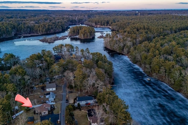 bird's eye view featuring a water view and a wooded view