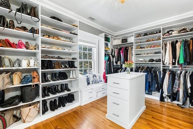 25 Wedgemere Ave, Winchester, MA 01890 - spacious closet featuring light wood finished floors