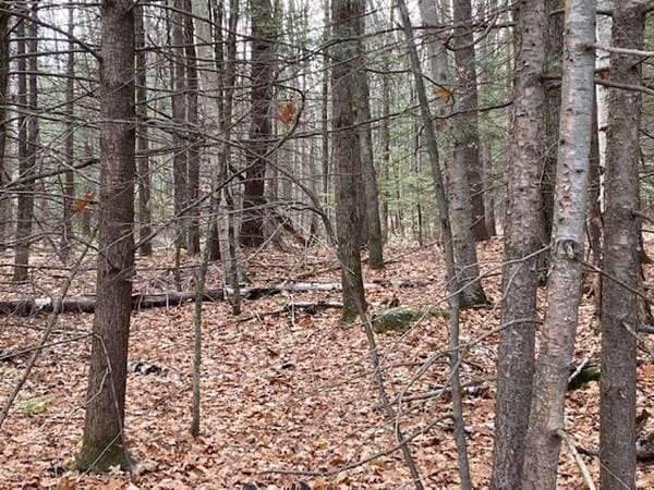 LOT55 Wendell Rd, New Salem MA, 01355 land for sale