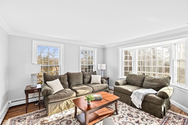 living area featuring ornamental molding, baseboards, and wood finished floors